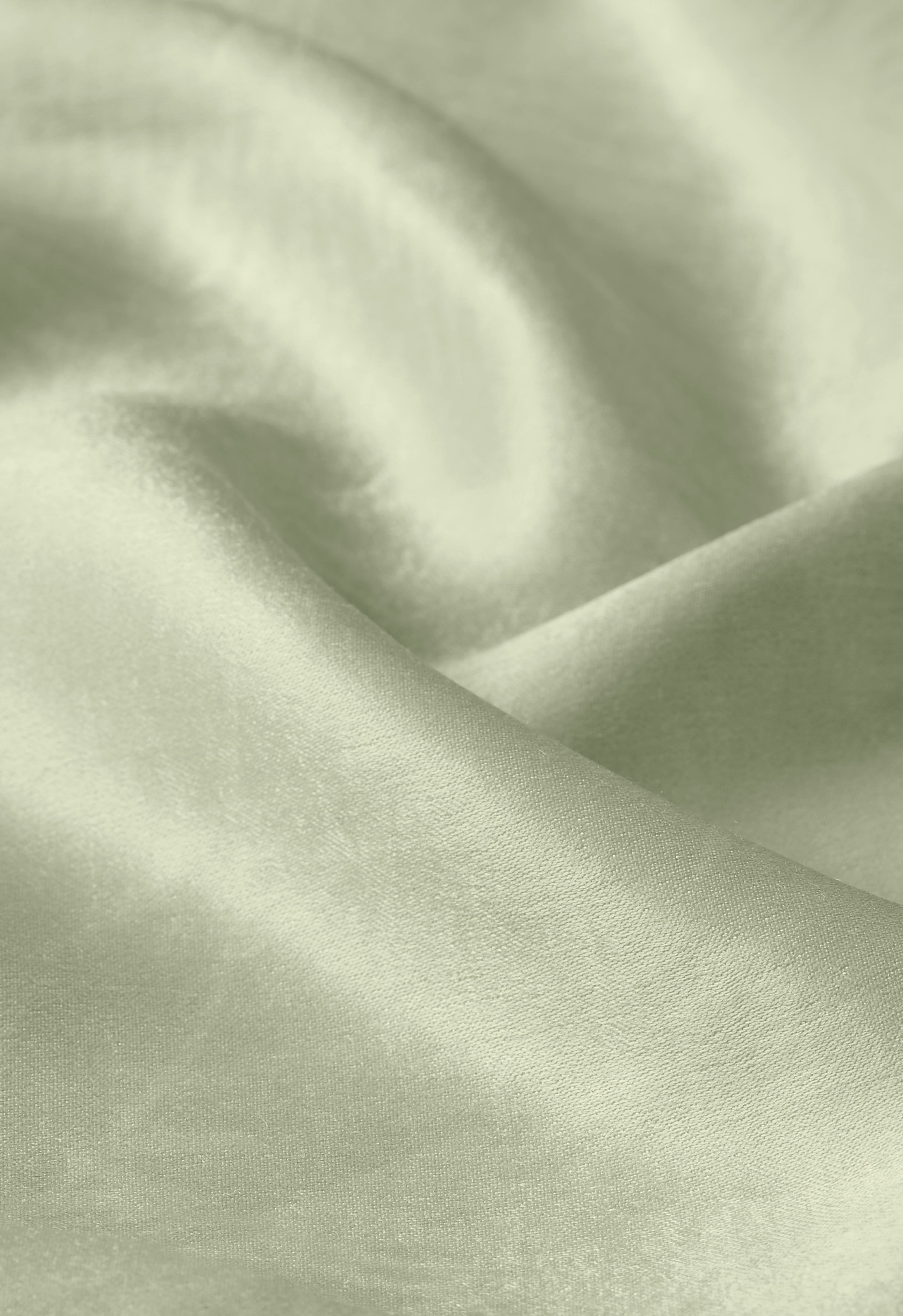 Printed Shirt | Palm Print Alfalfa