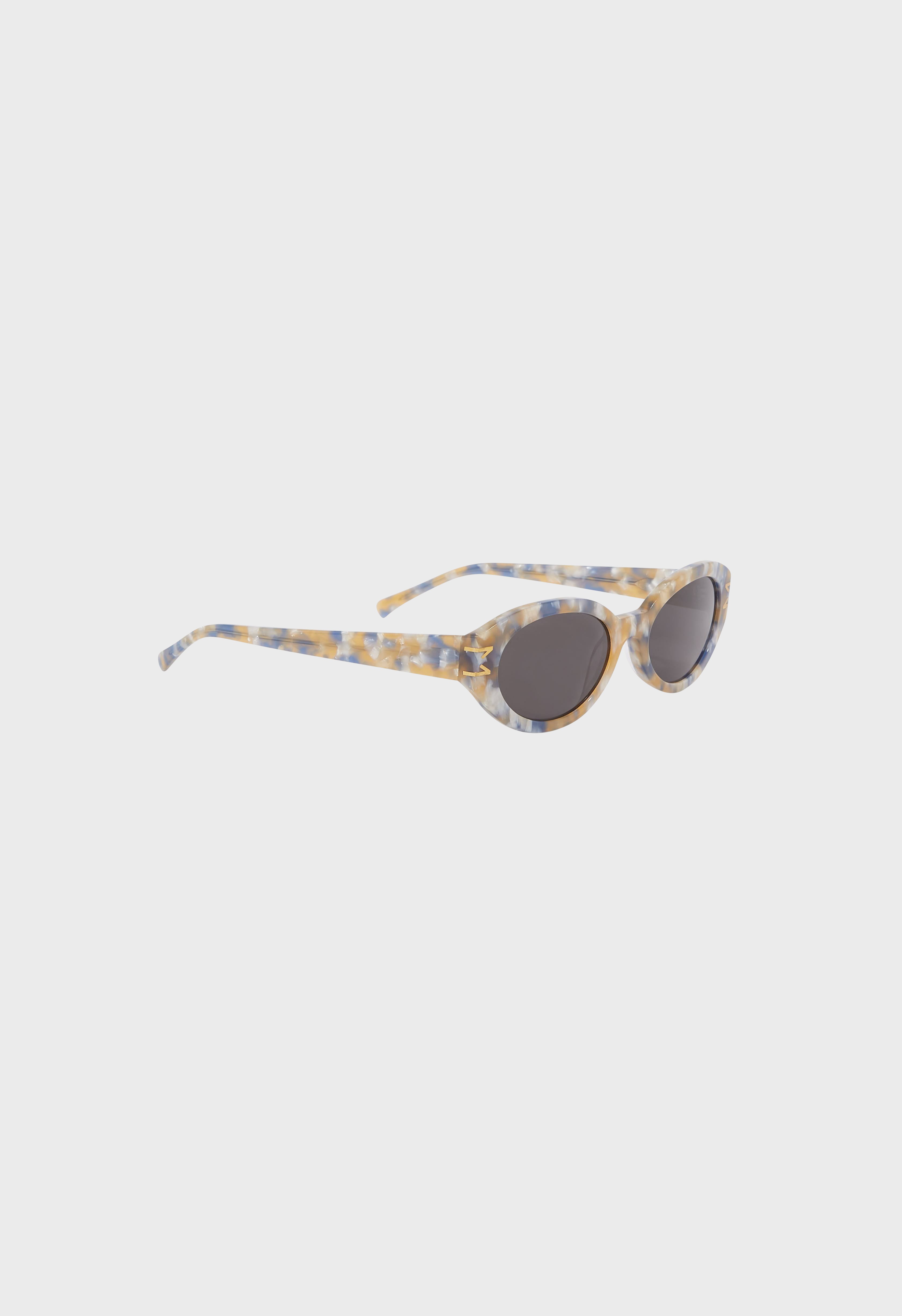 Logo Framed Sunglasses | Multicolour Tortoise